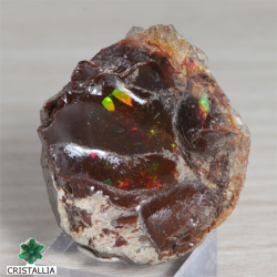 Opale chocolat - Mezzozo