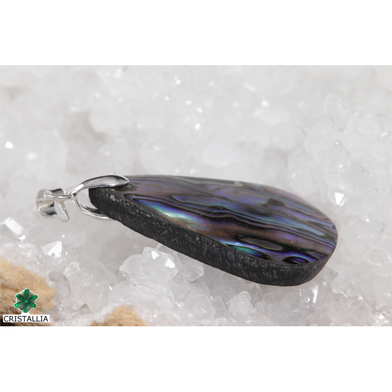 Pendentif Acier - Nacre abalone