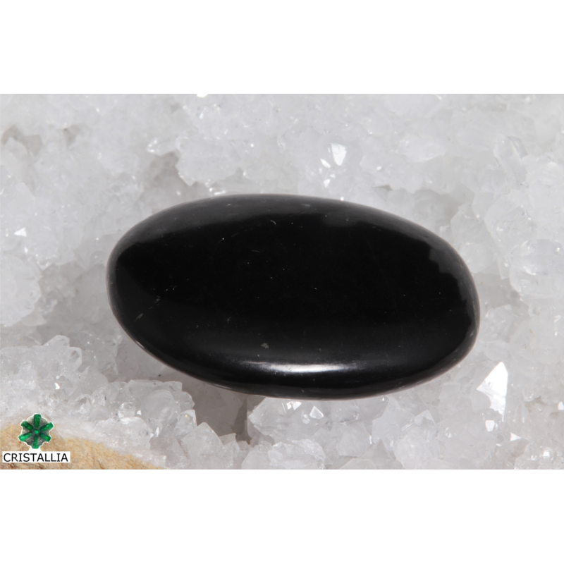 Galet Shungite