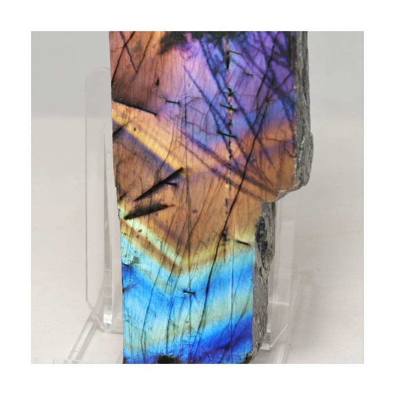 Labradorite Arc-en-ciel - Madagascar