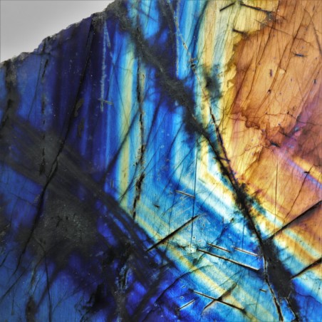 Labradorite Arc-en-ciel - Madagascar