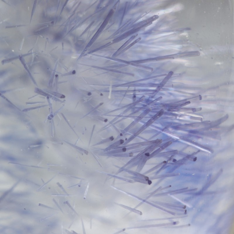 Pendentif Quartz à Dumortiérite - Argent 925