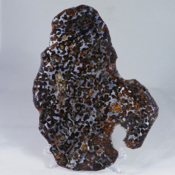 Pierre à poser tranche - Pallasite